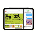 iPad (11th Generation)